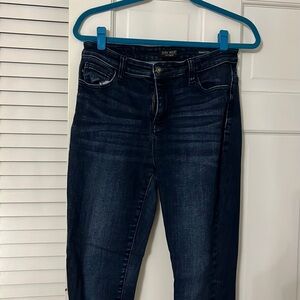Judy Blue skinny jeans